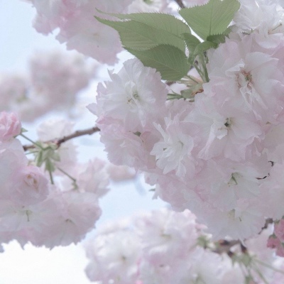 兽设角色性格塑造兽圈群